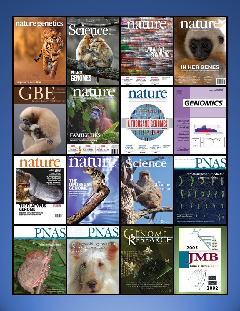 Batzer_Journal_Covers(17)_2023-2002_collage.jpg